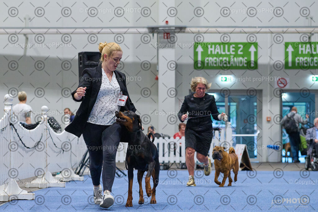 202406_ÖKV-IHA-Tulln24_DSC_3310 | proPHOTO - Realisiert mit Pictrs.com