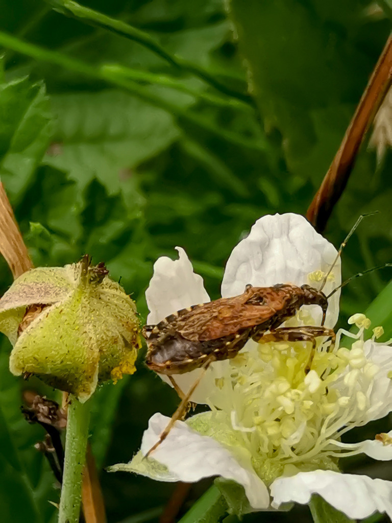 PSX_20230825_232445 | mtkfoto_ - Realisiert mit Pictrs.com