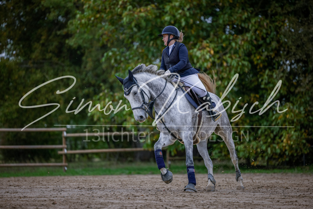 20251012-_3LI3311 | Tierfotografie Pferde, Hunde, Katzen, Haustiere.
Turnierfotografie Reitturniere, Reiten, Springreiten, Dressur in Hanau, dem Main-Kinzig-Kreis und dem Rhein-Main- Gebiet um Frankfurt