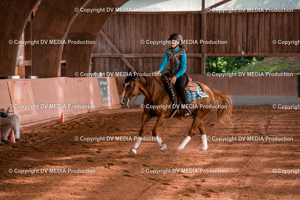 NE201145 | dv-media-shop - Realisiert mit Pictrs.com