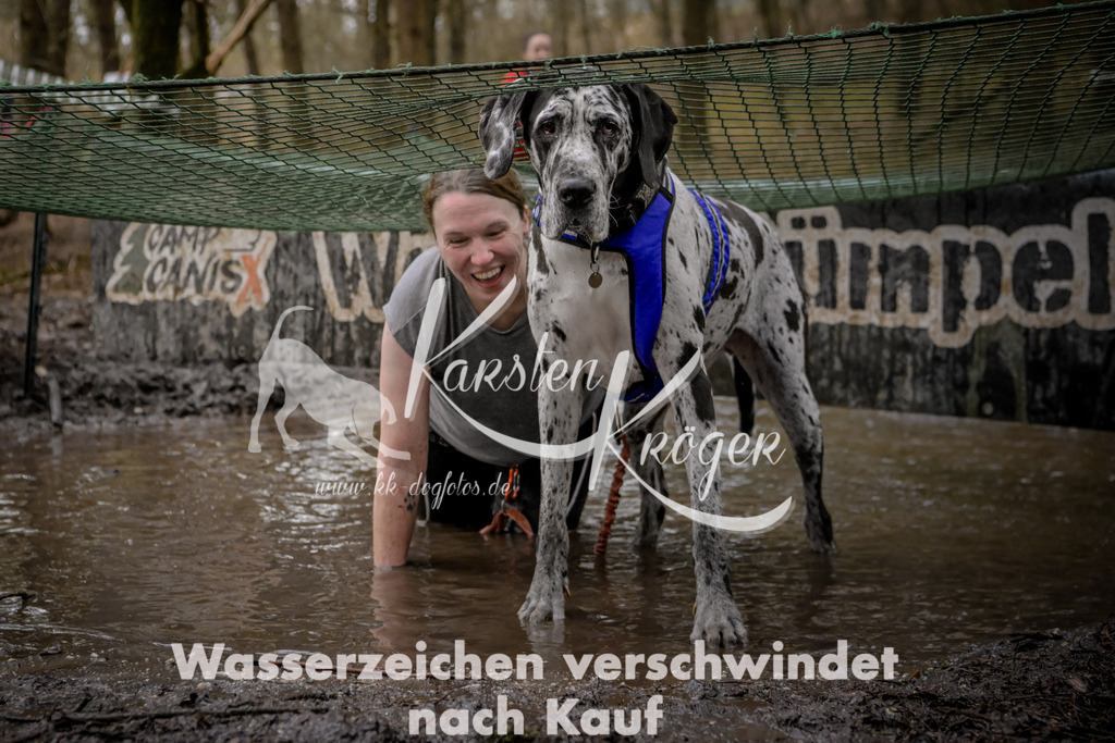 1009_ZZ99894 | kk-dogfotos