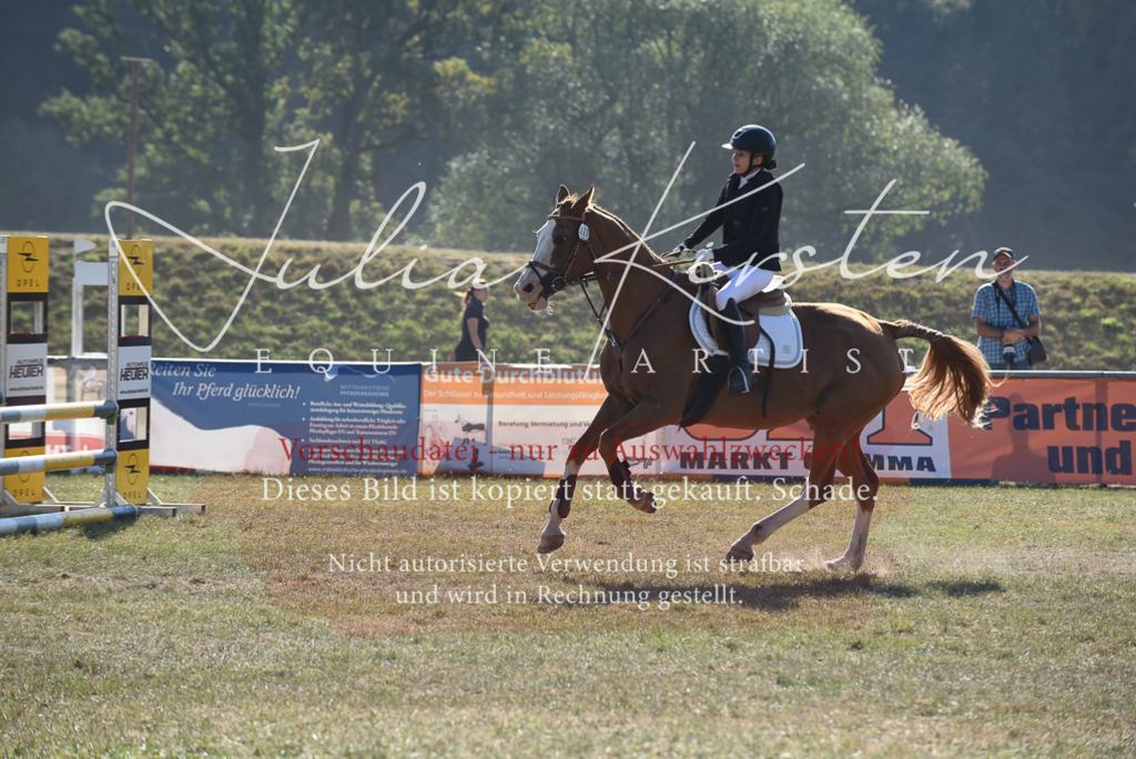 DSC_5966 | Pferde- und Turnierfotografie in Westsachsen. Pferdeportraits, Auftragszeichnungen und intuitive Kunst.