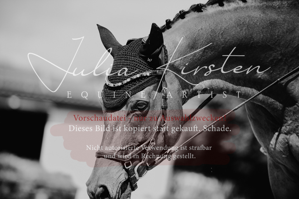 DSC_9042 | Pferde- und Turnierfotografie in Westsachsen. Pferdeportraits, Auftragszeichnungen und intuitive Kunst.