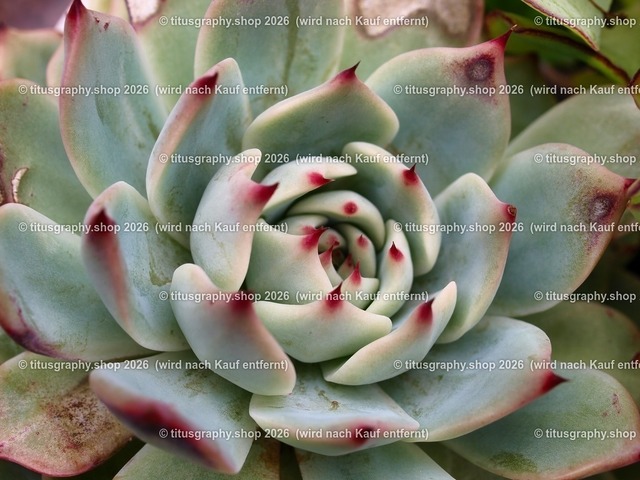 titusgraphy_P6221435-vz-ln_pe | OLYMPUS DIGITAL CAMERA - Realisiert mit Pictrs.com