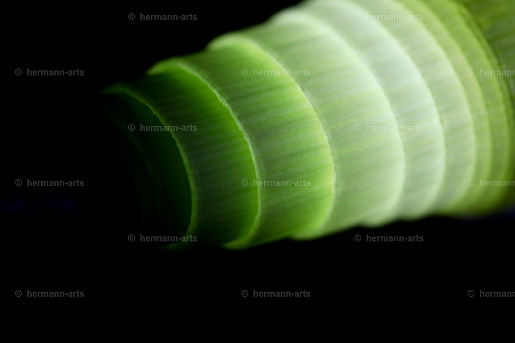 Fruits-Art-003 | Photo Foto Kunst Art schwarzweiss Bilder Rheine Münster Berlin Blumen 