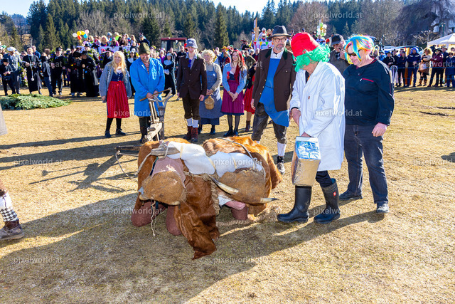 Bärentreiben in Steuerberg | Bildershop von pixelworld.at - Realisiert mit Pictrs.com