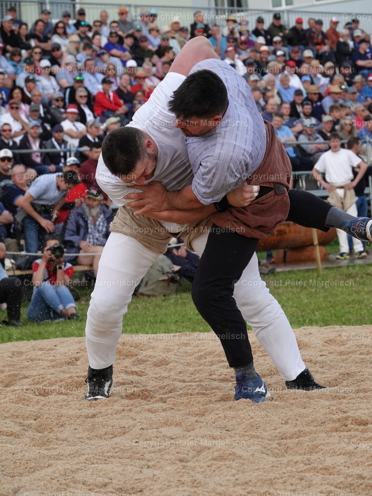 DSC06638 | Schwingen - Realisiert mit Pictrs.com