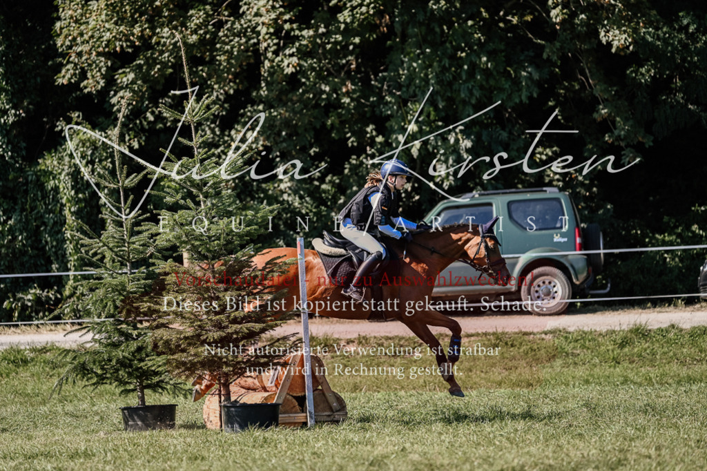 DSC_2977 | Pferde- und Turnierfotografie in Westsachsen. Pferdeportraits, Auftragszeichnungen und intuitive Kunst.