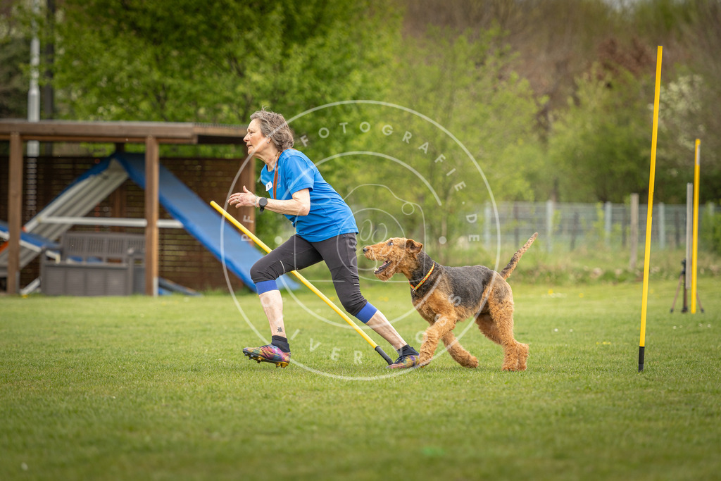 Pfotenfotografie_DV3A7546 | Hundefotografie, Tierfotograf, Pfotenfotografie, Fotoshooting Hund, Hunde Portrait, Hundesport, Hundeportraits, Heideshooting, Hunde, Sportfotograf, Hundefotograf, Turnierhundsport, THS,  - Realisiert mit Pictrs.com