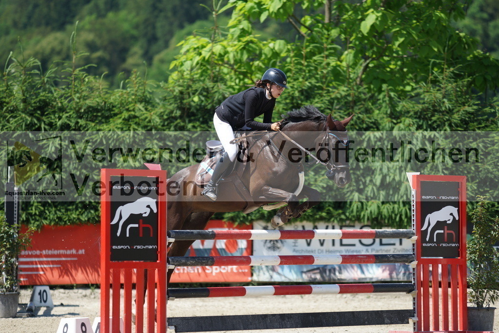 DSC00781 | equestrian-live-com