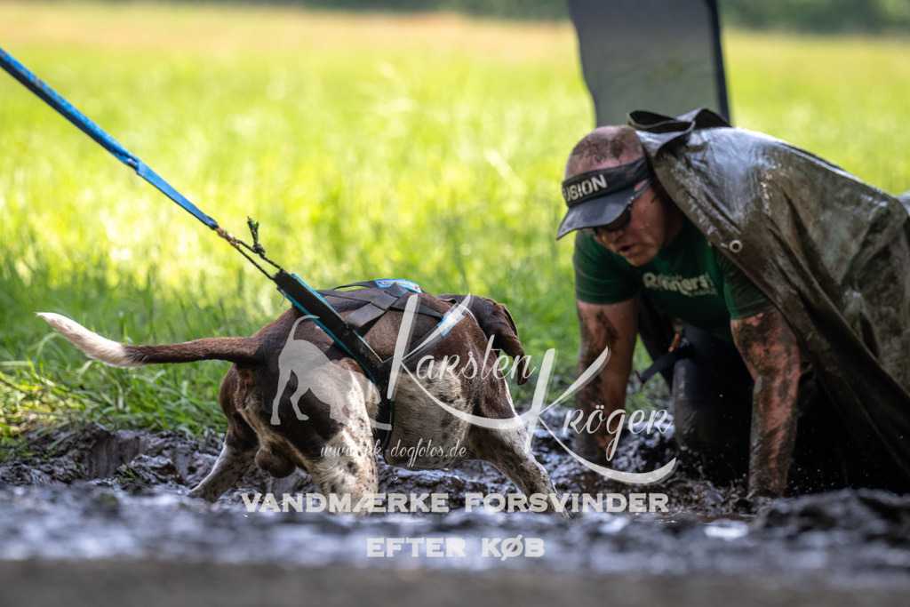 1201_ZZ91069 | kk-dogfotos