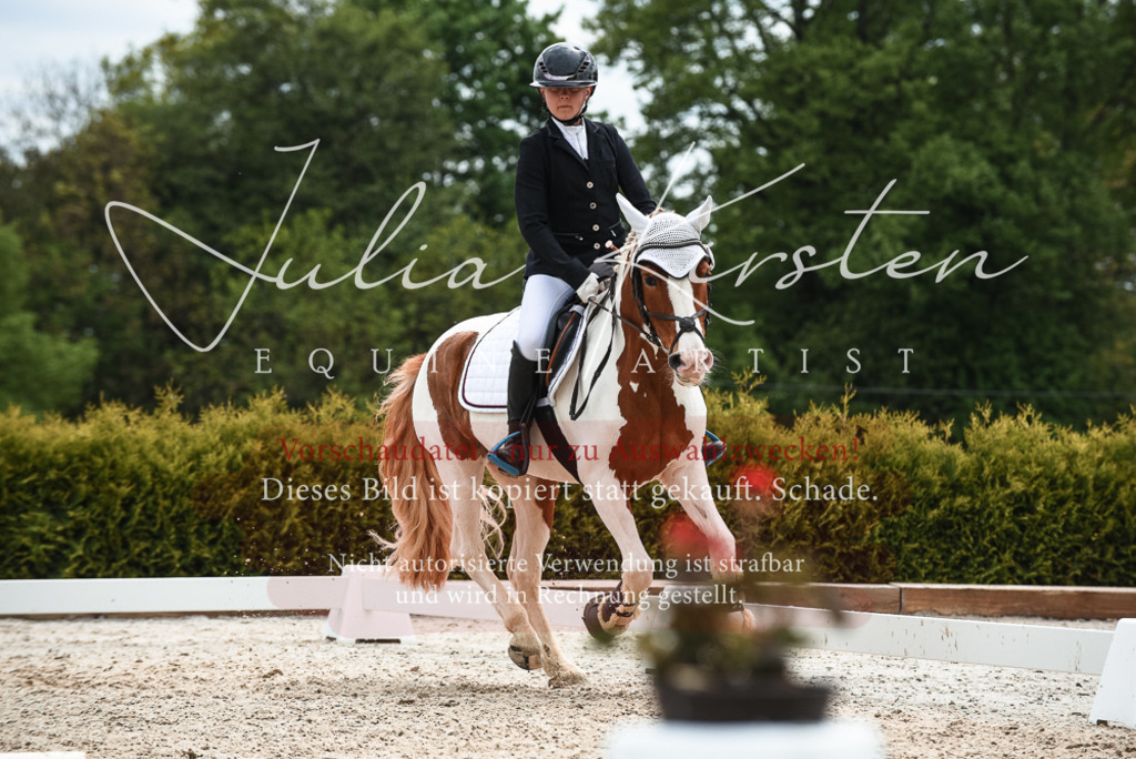 20230518_JK-Röhrsdorf-10-664 | Pferde- und Turnierfotografie in Westsachsen. Pferdeportraits, Auftragszeichnungen und intuitive Kunst.