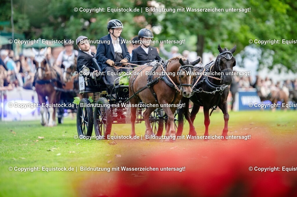 20250606_Lange-Pferdenacht_0146 | Foto: Thomas Hartig