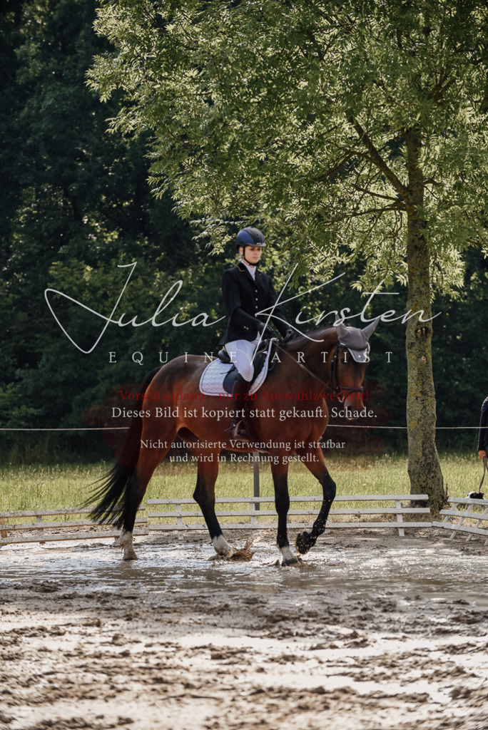 DSC_8993 | Pferde- und Turnierfotografie in Westsachsen. Pferdeportraits, Auftragszeichnungen und intuitive Kunst.