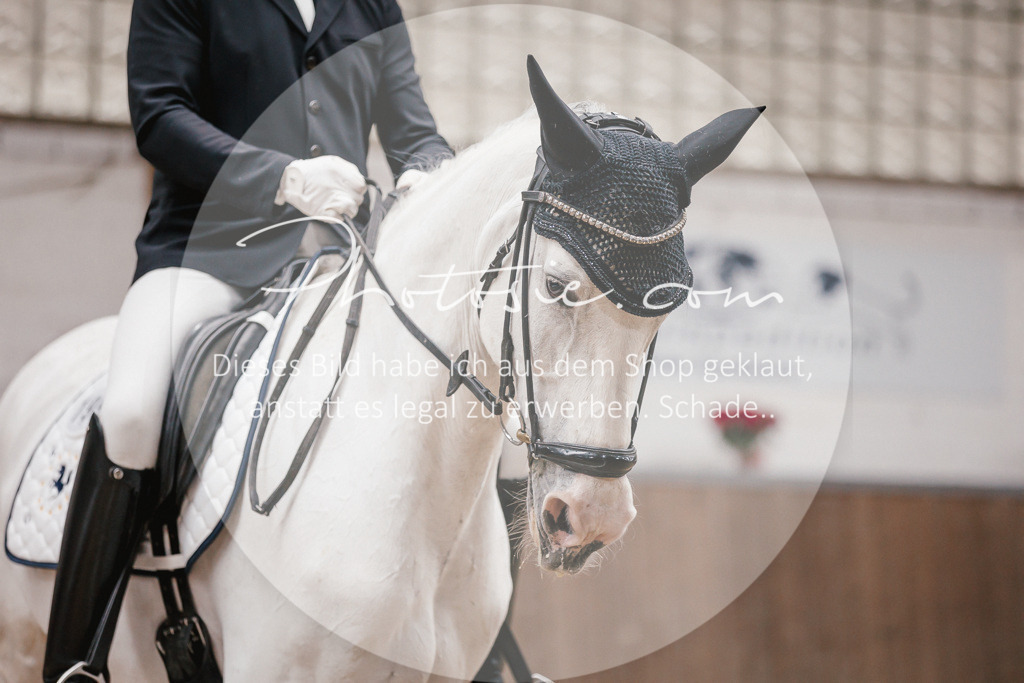 3I6A6861 | Stimmungsvolle Portraits und Reitsportfotografie im Ruhrgebiet und im Münsterland.

Pferdefotografie, Hundefotografie, Tierfotografie, Reportagen, Portraits von Tier und Mensch, Turnierfotografie in Bochum, Recklinghausen, Marl, Haltern am See, Dülmen.. - Realisiert mit Pictrs.com