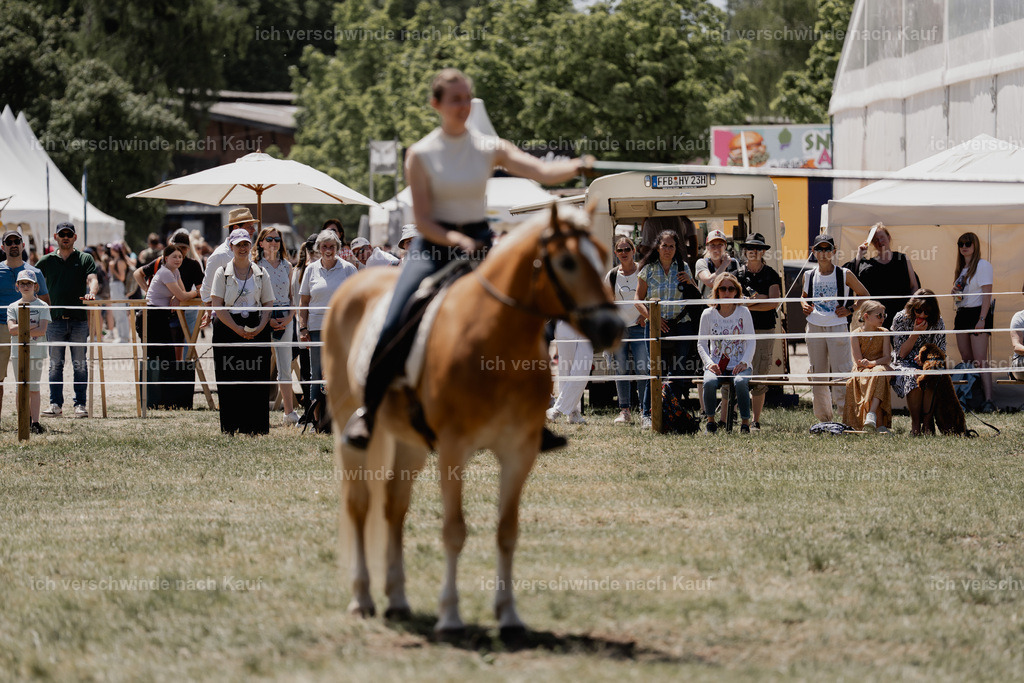 _DSC6980 | working equitationturnier fotograf videograf stoibphotography marixx film working equitation deutschland reitsport turnierfotografie eventfotografie equestrian events