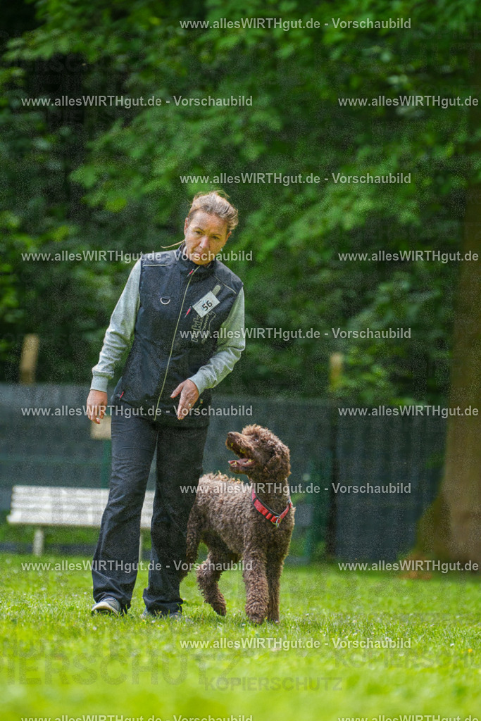 @allesWIRTHgut_Tierfotografie - www.allesWIRTHgut.de - 7R501094 | Professionelle Tierfotografie in Mönchengladbach von Daniel Wirth (allesWIRTHgut). Liebevolle & natürliche Bilder von Hunden & Katzen für unvergessliche Erinnerungen.