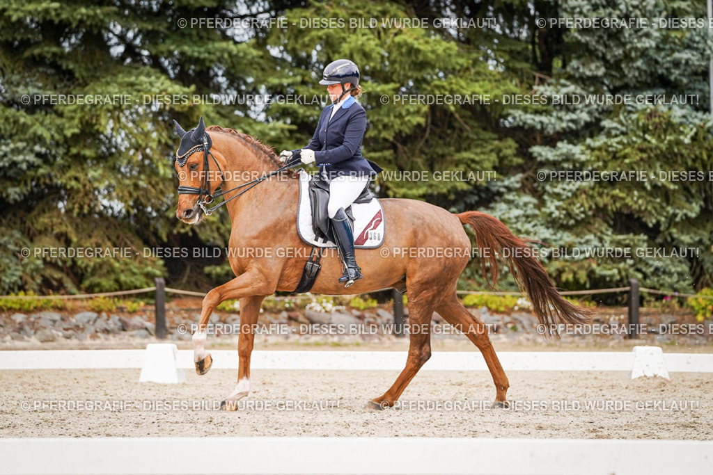 DSC07455 | Pferdegrafie