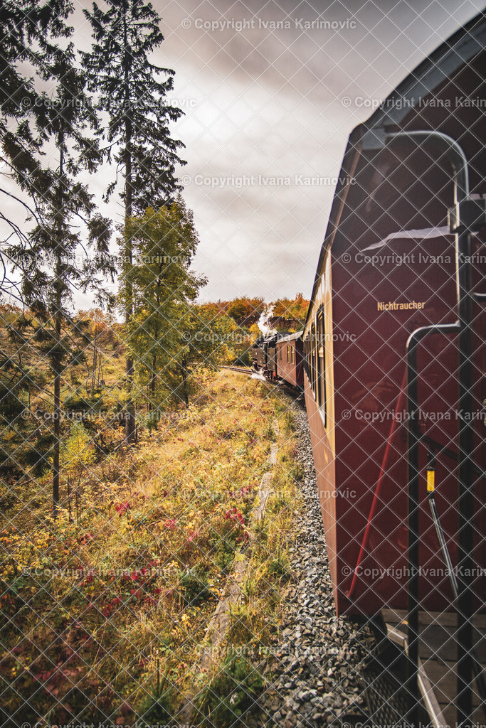 DSC06361 | ikphotography - Realisiert mit Pictrs.com