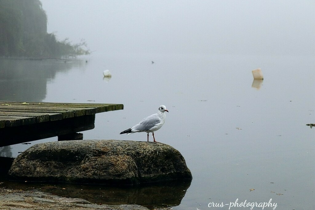 1694334518458 | crus-photography