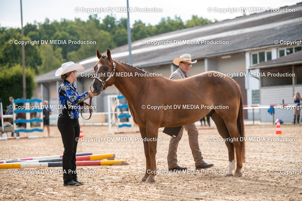 EWP_5574 | dv-media-shop - Realisiert mit Pictrs.com