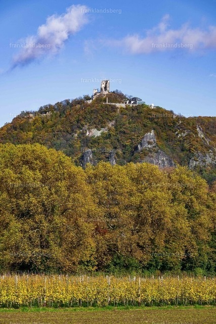 DSC_9482 | Bilder von Frank Landsberg / Siebengebirge in Bildern - Realisiert mit Pictrs.com