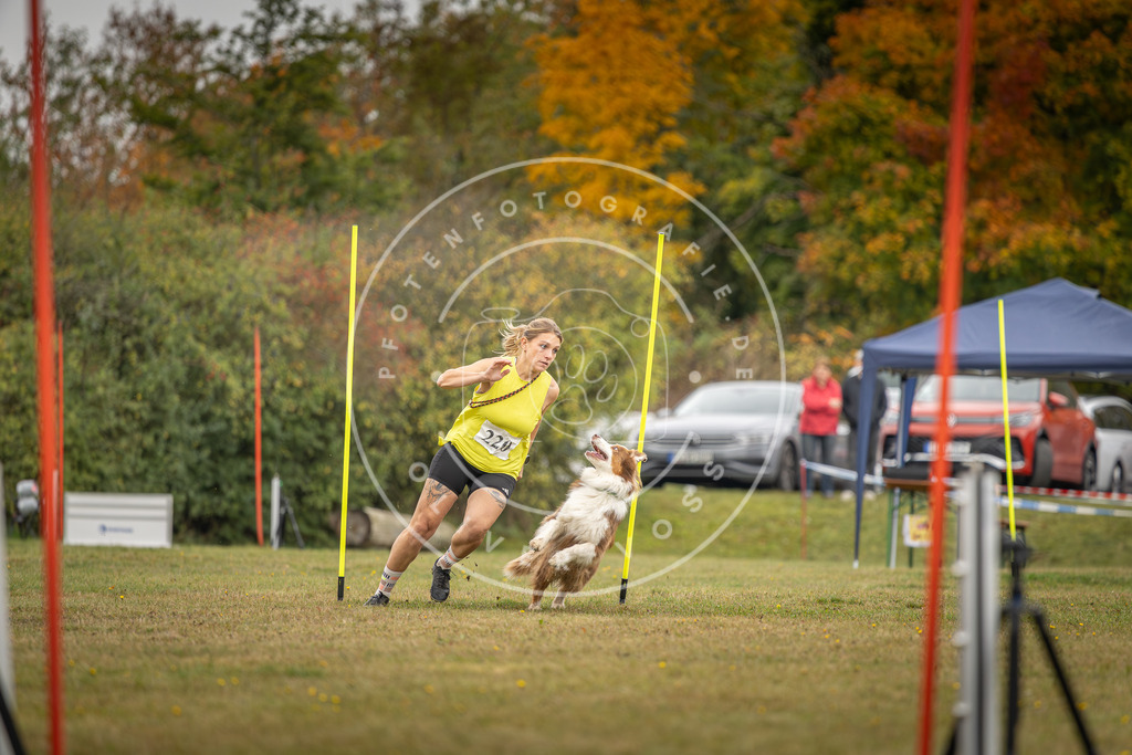 Pfotenfotografie_DV3A3688 | Hundefotografie, Tierfotograf, Pfotenfotografie, Fotoshooting Hund, Hunde Portrait, Hundesport, Hundeportraits, Heideshooting, Hunde, Sportfotograf, Hundefotograf, Turnierhundsport, THS,  - Realisiert mit Pictrs.com