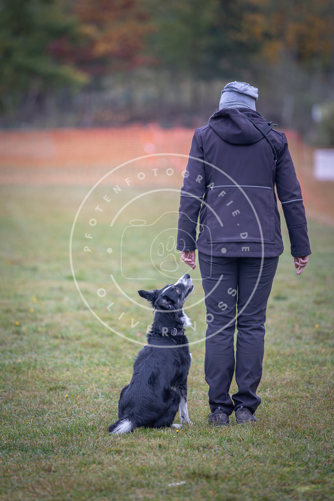 Pfotenfotografie_DV3A9496 | Hundefotografie, Tierfotograf, Pfotenfotografie, Fotoshooting Hund, Hunde Portrait, Hundesport, Hundeportraits, Heideshooting, Hunde, Sportfotograf, Hundefotograf, Turnierhundsport, THS,  - Realisiert mit Pictrs.com