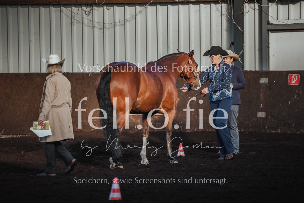 fell.o.fie_mandyjordan_2024_06_09476 | Mandy Klecke Fellfotografie, fell.o.fie Fotografenshop - Realisiert mit Pictrs.com