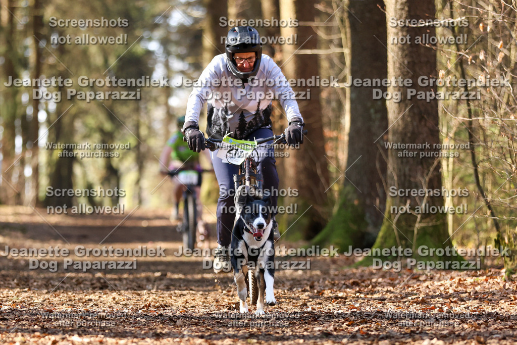 Dog Paparazzi - VCC26-1075 | Dog Paparazzi Jeanette Grottendiek Fotografie & Videografie - Realisiert mit Pictrs.com