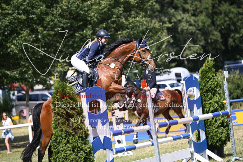 DSC_0254 | Pferde- und Turnierfotografie in Westsachsen. Pferdeportraits, Auftragszeichnungen und intuitive Kunst.