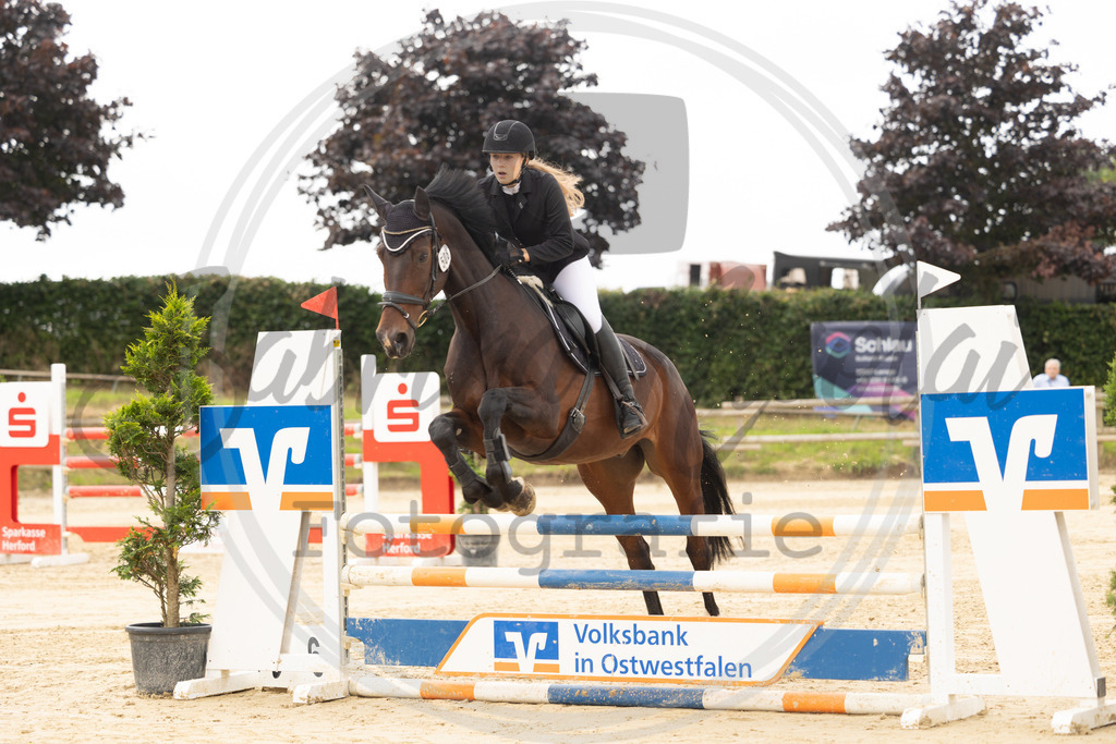 994A7741 | sabrinanicolaifotografie - Realisiert mit Pictrs.com