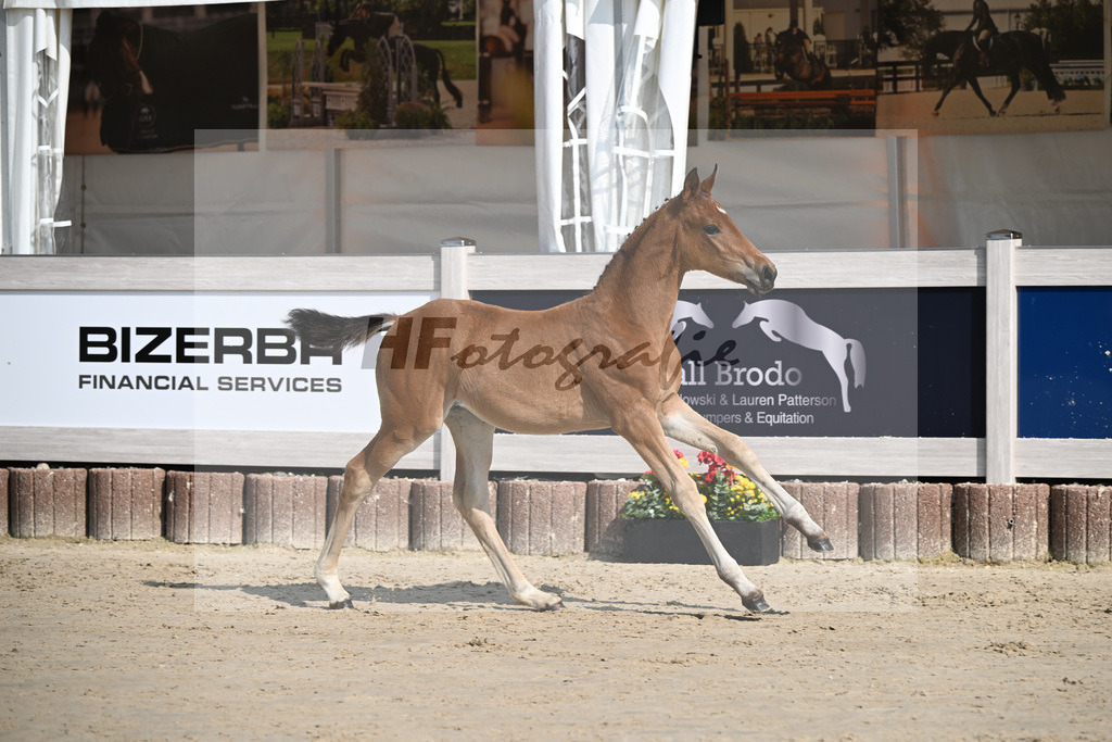 Feliciano x Danone I_SF_Huber_12250111 | hf-fotografie - Realizzato con Pictrs.com