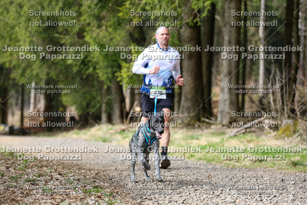Dog Paparazzi - VCC26-303 | Dog Paparazzi Jeanette Grottendiek Fotografie & Videografie - Realisiert mit Pictrs.com