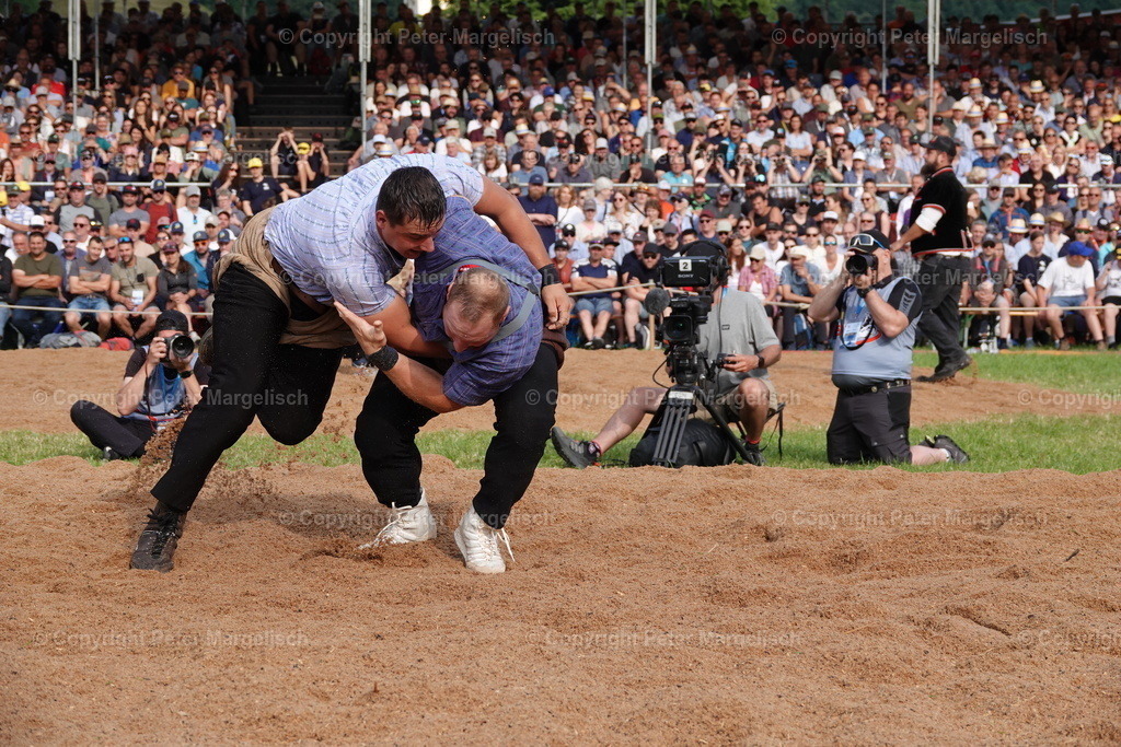 DSC01193 | Schwingen - Realisiert mit Pictrs.com