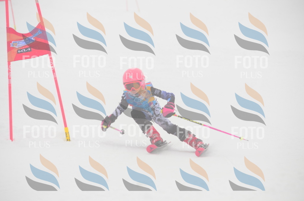 C1239 | holidayphoto