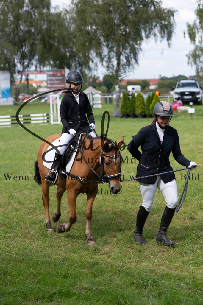 A7V03342 | Pferdefotograf