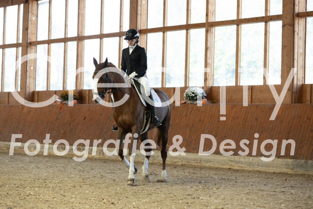 IMG_5235 | Creatify Fotografie