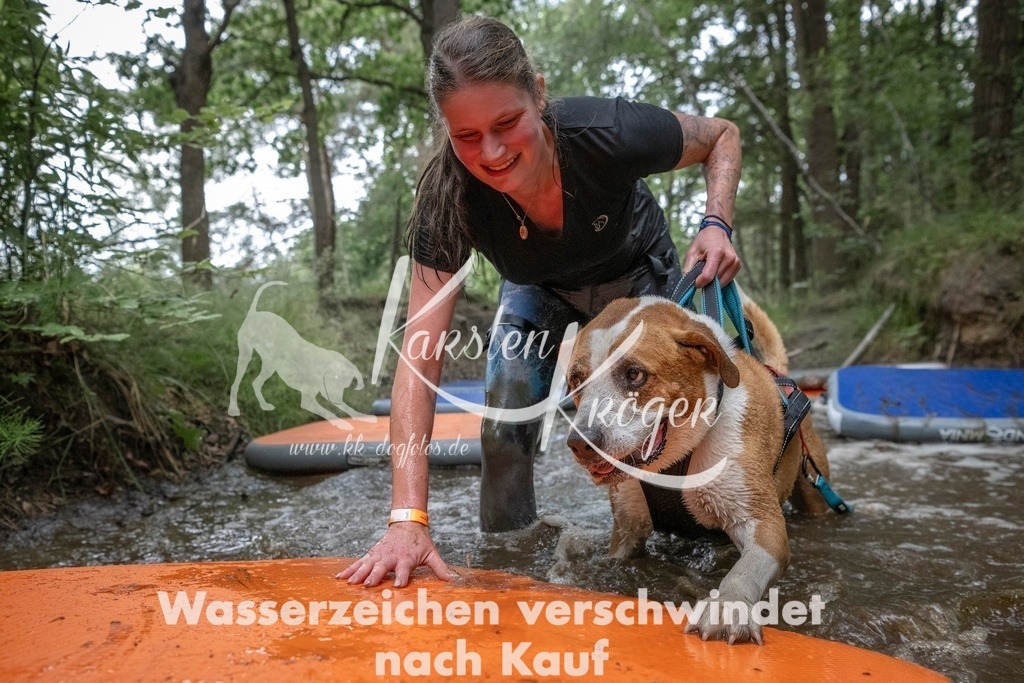0847_ZZ99664T | kk-dogfotos