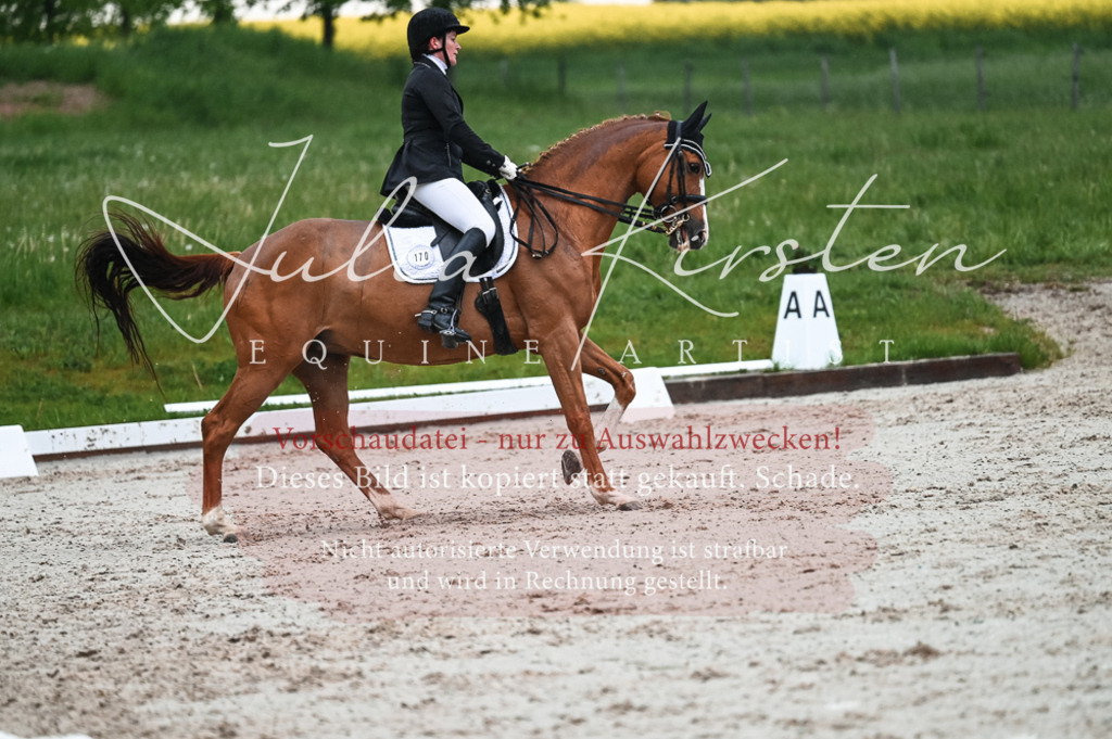 DSC_4475 | Pferde- und Turnierfotografie in Westsachsen. Pferdeportraits, Auftragszeichnungen und intuitive Kunst.