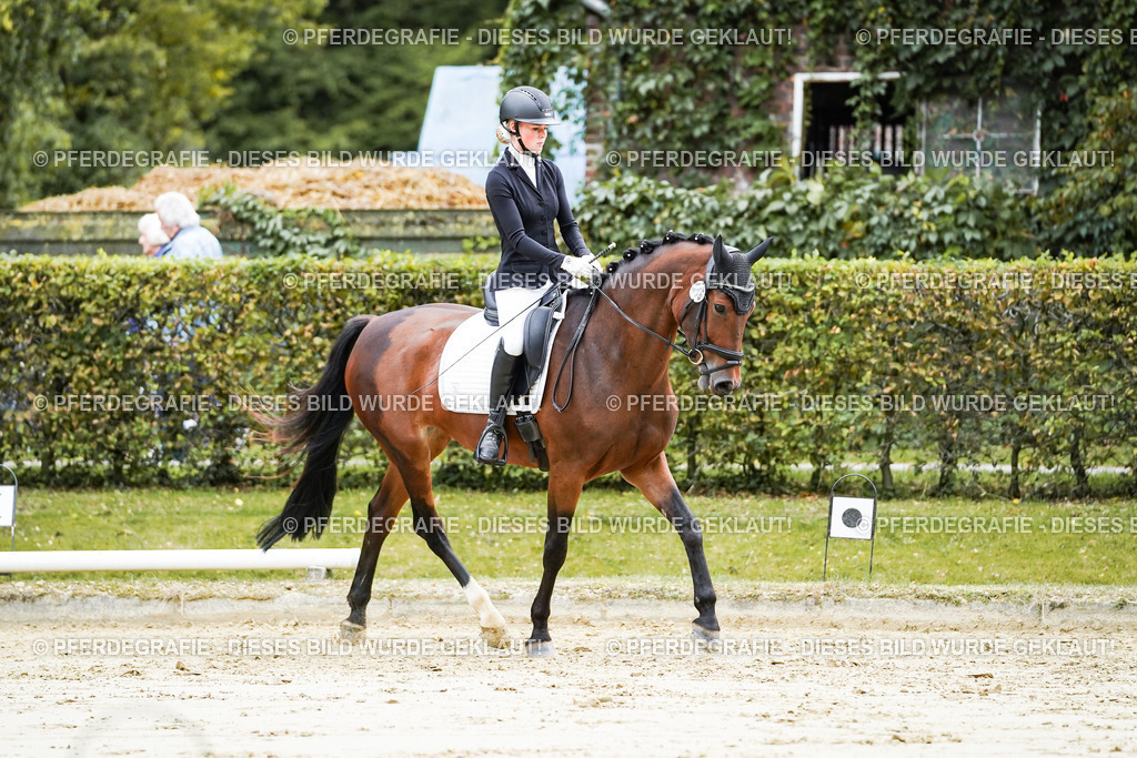 DSC06250 | Pferdegrafie