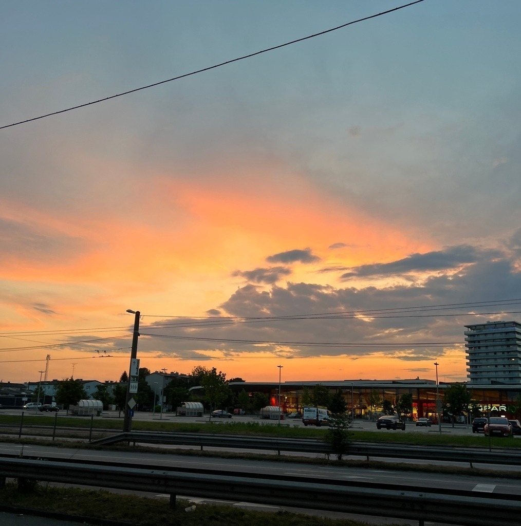 IMG_7292 | ace - Realisiert mit Pictrs.com