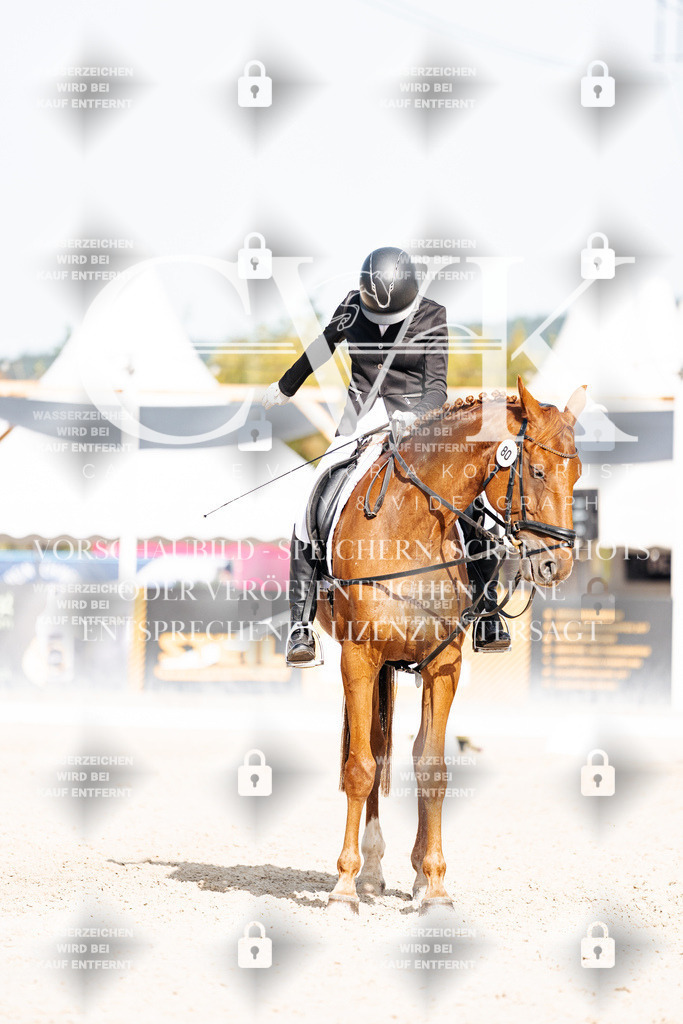 CK905543 | Turnierfotografie Pferdefotografie Trier Rheinland-Pfalz Pferdesport Reitsport Tierfotografie Sportfotografie Pferdevideo Pferdevideografie Equestrianvideography equestrianphotography  - Realisiert mit Pictrs.com