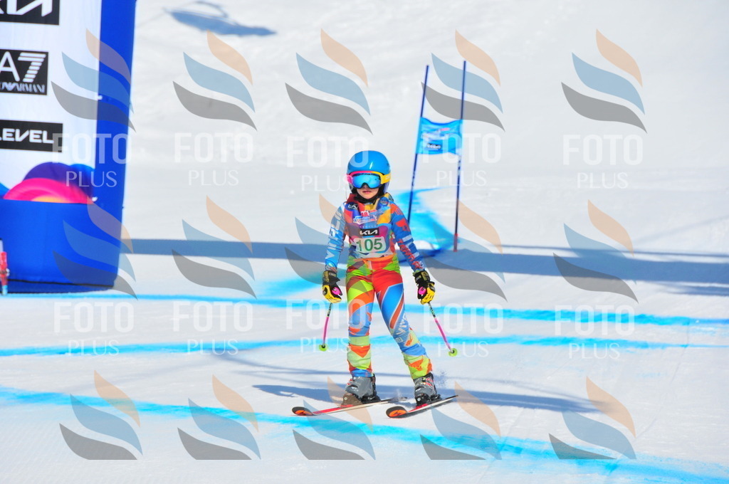 DSC_0766 | holidayphoto