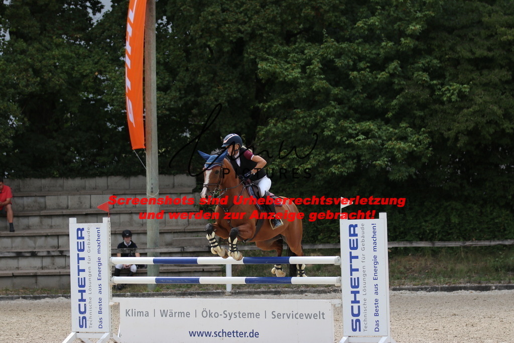 IMG_0336 | lmwpictures - Realisiert mit Pictrs.com