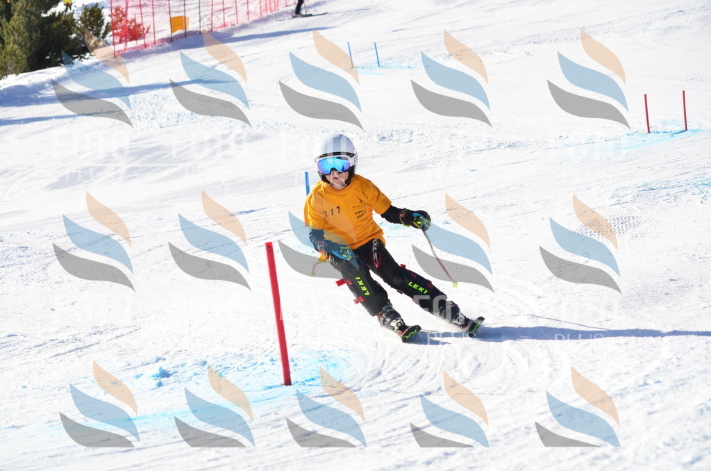 C6284 | holidayphoto