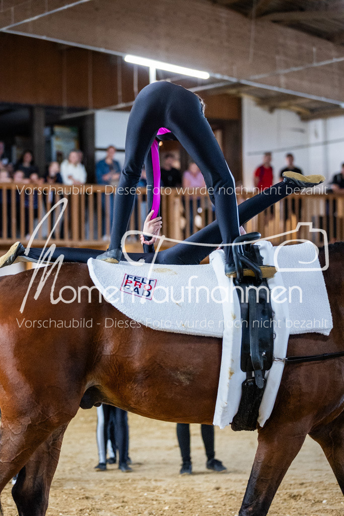 GS-Einsteiger-059 | MomenTaufnahmen Pferdesportfotos