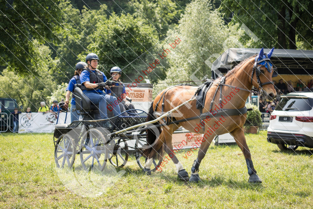 IMG_7986 | Sport-, Event- und Tierfotos in Profiqualität. Einfach auswählen, bestellen und herunterladen. Dein Moment – perfekt festgehalten.