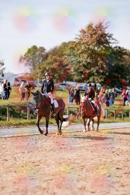 2026_10_03_Siefer-Hof_130156_Z81_54187559 | Professionelle Reitsport-, Turnier- und Eventfotografie von Robert Broda. Galerien mit ausgewählten und bearbeiteten Bildern direkt online ansehen und bestellen.