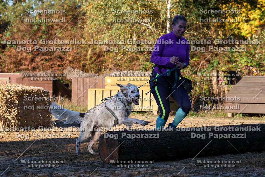 Dog Paparazzi - Strongdog 10-25-925 | Dog Paparazzi Jeanette Grottendiek Fotografie & Videografie - Realisiert mit Pictrs.com